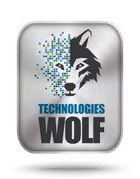 How To Research Keywords In Technologywolf.Net