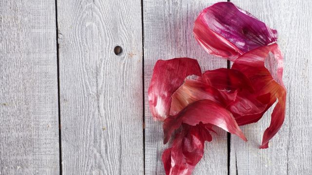 The benefits of onion for support body health