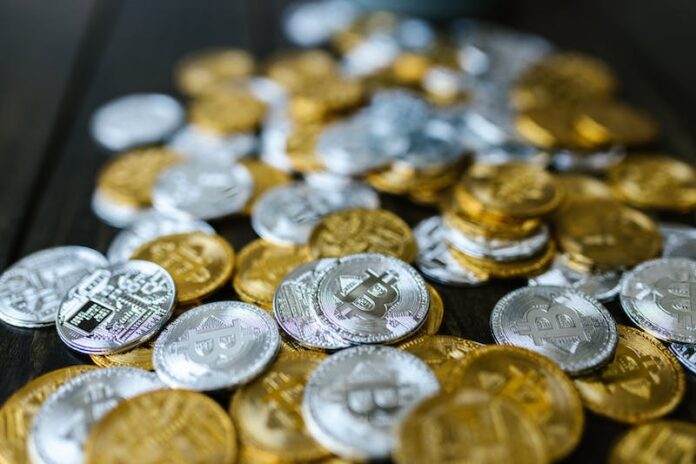 In an Investment Portfolio, is there Any Need for Bitcoin?