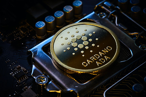 Steps to Safely Buying Cardano