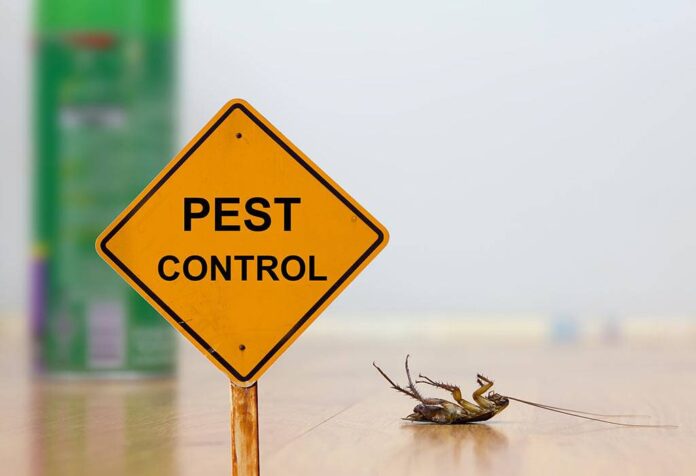 Your Go-To Guide to Banishing Germs Across Your Home